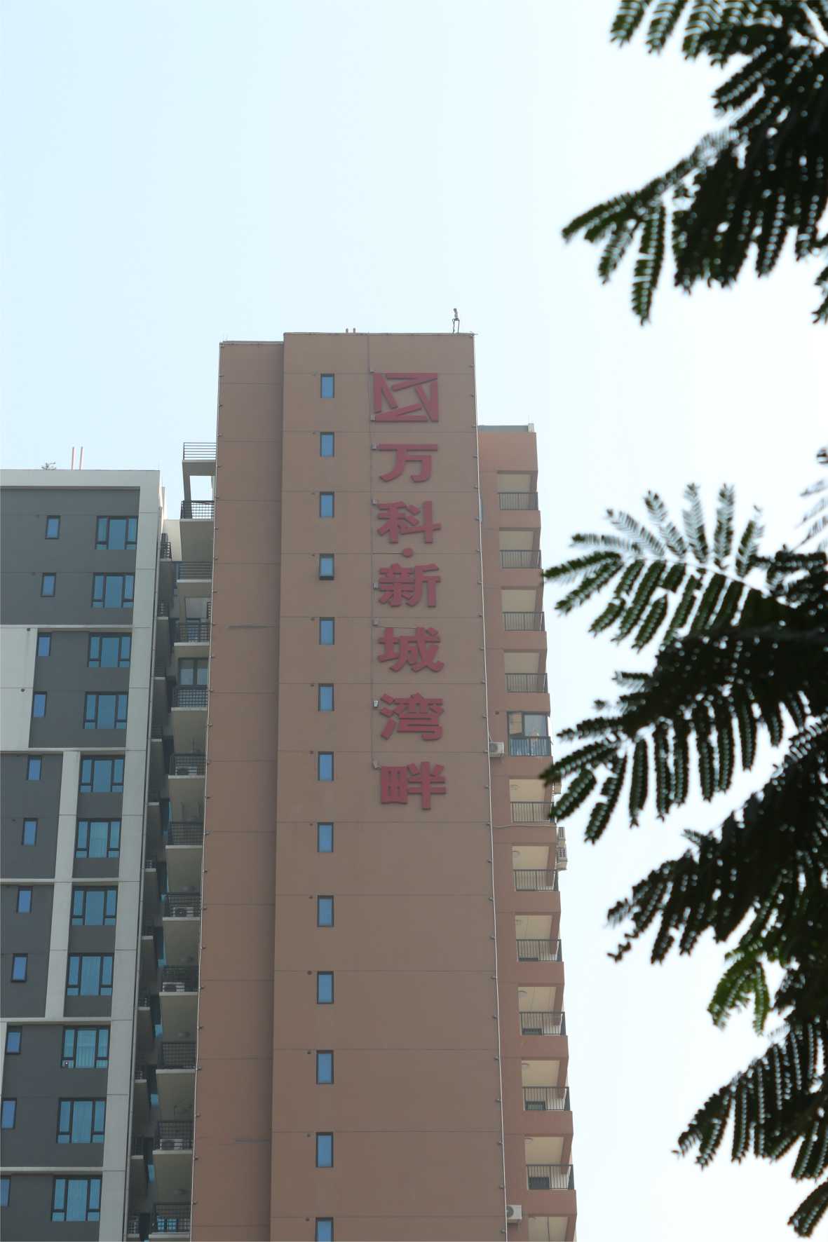 楼体标识发光字